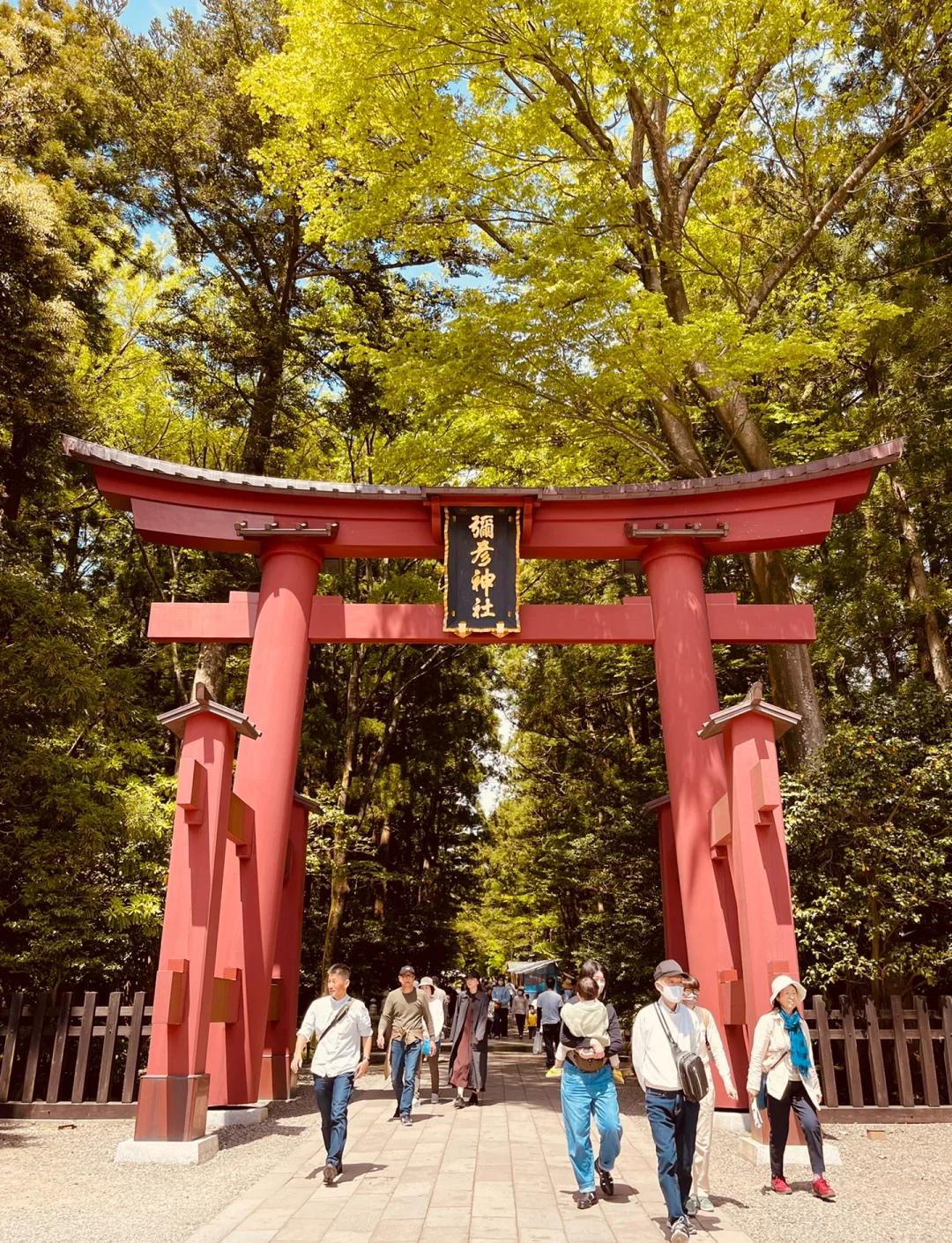 臼h;曩蹽N屿(鏆戞湡鏂囨梾娑堣垂鐑疆娑屽姩)